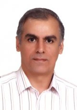 دکتر ناصر برک پور استاد گروه شهرسازی، دانشکده معماری و شهرسازی، دانشگاه هنر ایران، تهران