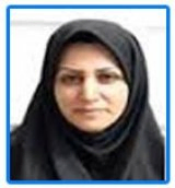 دکتر مینو باسامی دانشیار، گروه فیزیولوژی ورزشی، دانشکده تربیت بدنی و علوم ورزشی، دانشگاه علامه طباطبائی، تهران، ایران.