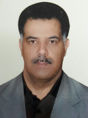  مجتبی  شادلو 