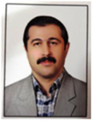 دکتر حسین صفری دانشیار