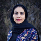 دکتر زینب نوروزعلی مولف، پژوهشگر، منتقد ادبی- فلسفی، شاعر