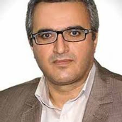 دکتر محمدجواد شمس دانشیار دانشگاه بین المللی امام خمینی(ره)