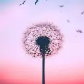  مجید شاهی گنزق علوم تربیتی-مدیریت و برنامه ریزی آموزشی