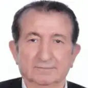 دکتر ناصرعلی منصوریان دانشیار دانشگاه صنعتی سجاد