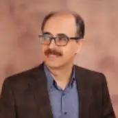 دکتر سیدحسین میثمی دانشگاه هنر ایران